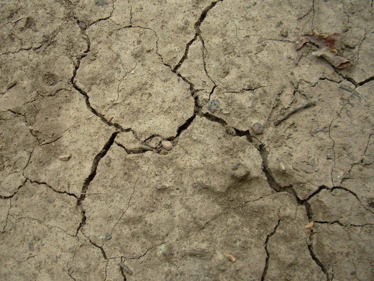 Треснутая поверхность. Ground crack. Потрескавшаяся земля. Засуха текстура. Ground crack.