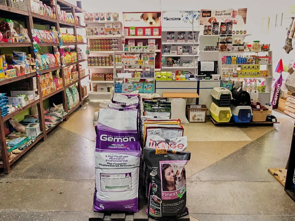 зоомаркет белгород. зоомагазин белгород адреса. зоомагазин белгород с животными. зоомагазин белгородского полка. название зоомагазина.