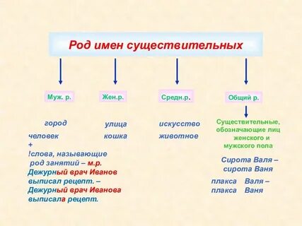 Как определить род и число