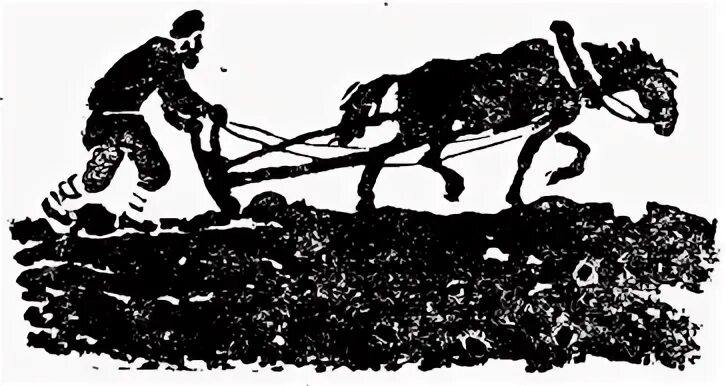 Лошадь тянет плуг. Лев толстой пахарь. пахарь лев толстой на пашне 1887. лошадь пашет землю. пахарь с плугом.