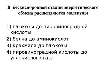 Установите соответствие процессов энергетическому обмену