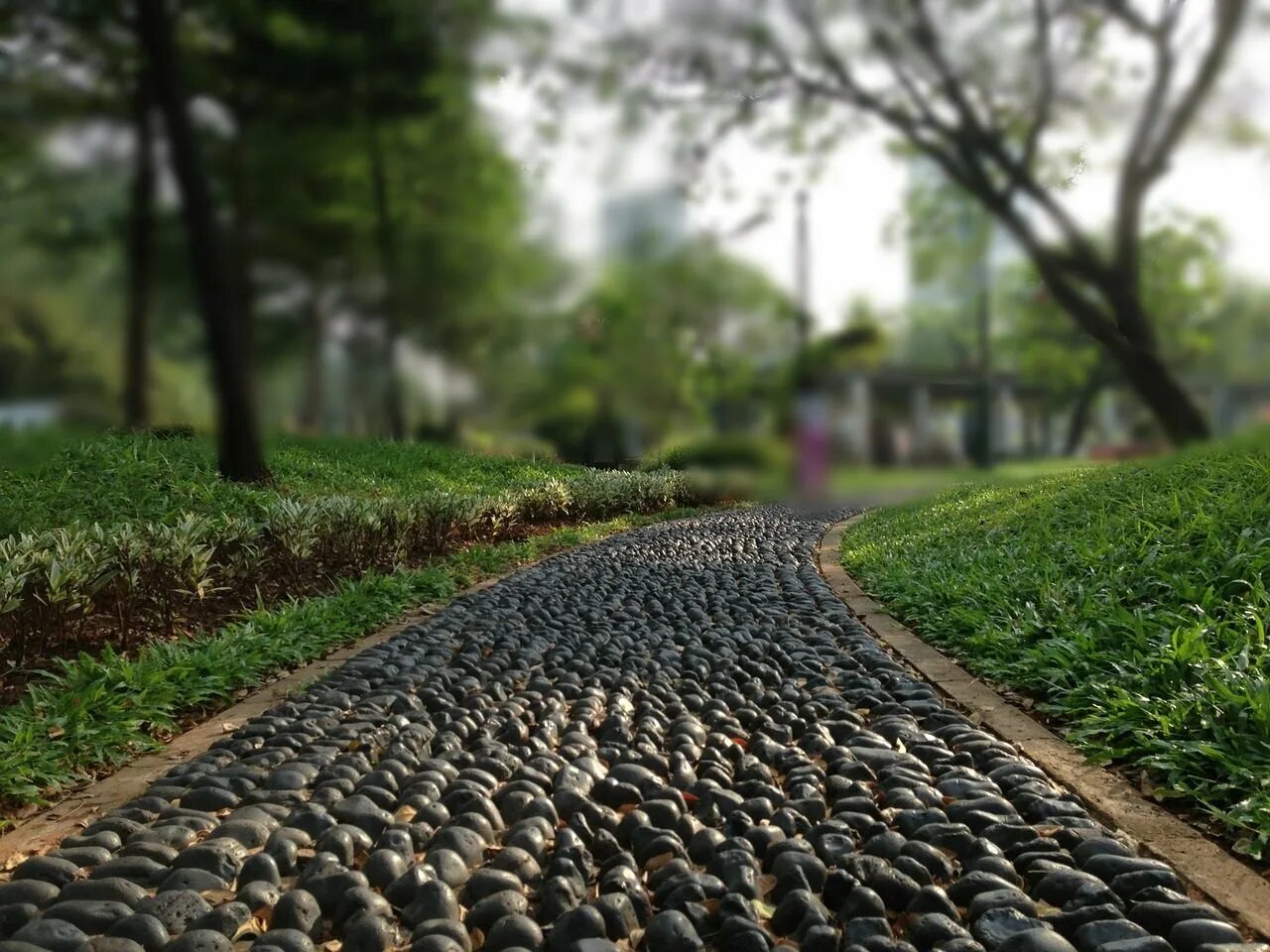 Почвопокровные в мощении. Много дорожек. Много дорожек. Дачные дорожки из плитки. Дорожка в сад.