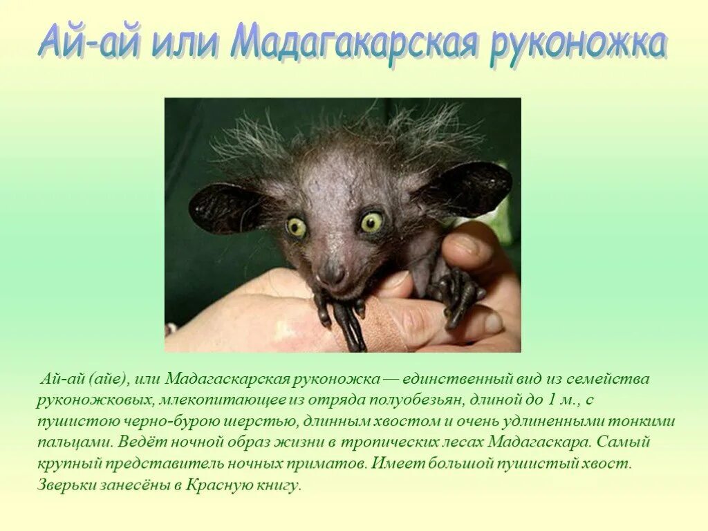 Аи по описанию