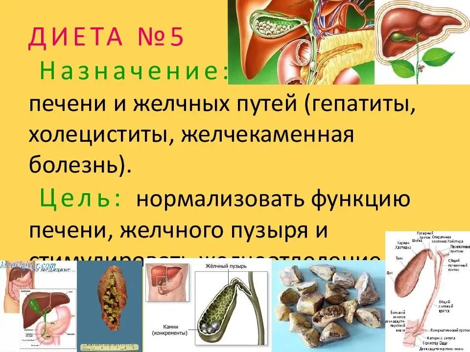 Продукты при перегибе желчного пузыря. Диетотерапия заболеваний печени. Питание при желчной болезни. Диета для желчного пузыря.