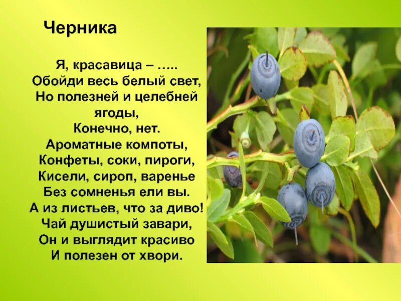 Обойди весь свет