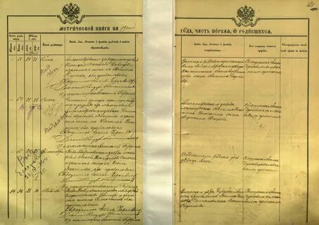 Метрическая книга свято троицкой церкви