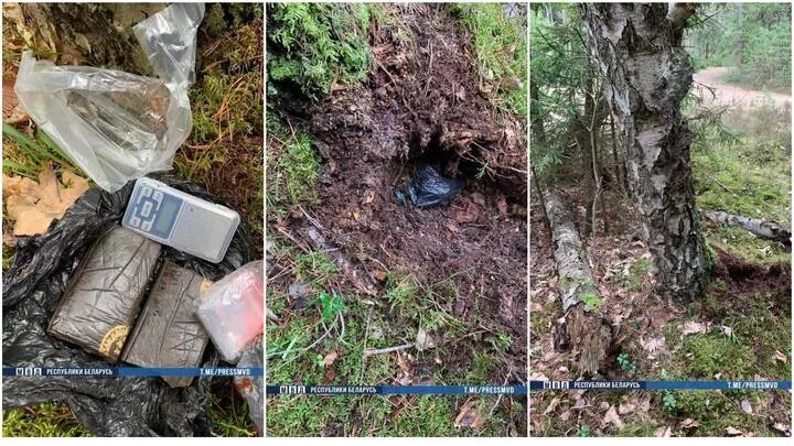 Что такое тайник в закладках. Схрон в лесу. Схрон в лесу. Медный лес екатеринбург. Тайник в лесу.