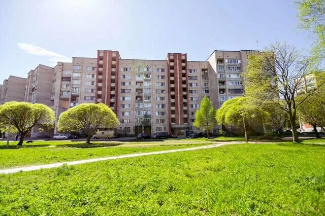 Ленинградская 64 сосновый бор. Школа 2 сосновый бор. Молодёжная 36 сосновый бор. Пр героев 64 сосновый бор. Ленинградская 64 сосновый бор.