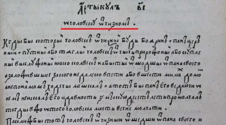 Статут 1588. Литовский статут 1588 года. Статут Великого княжества литовского 1529. Второй статут вкл 1566. Статут Великого княжества литовского 1529 года текст.