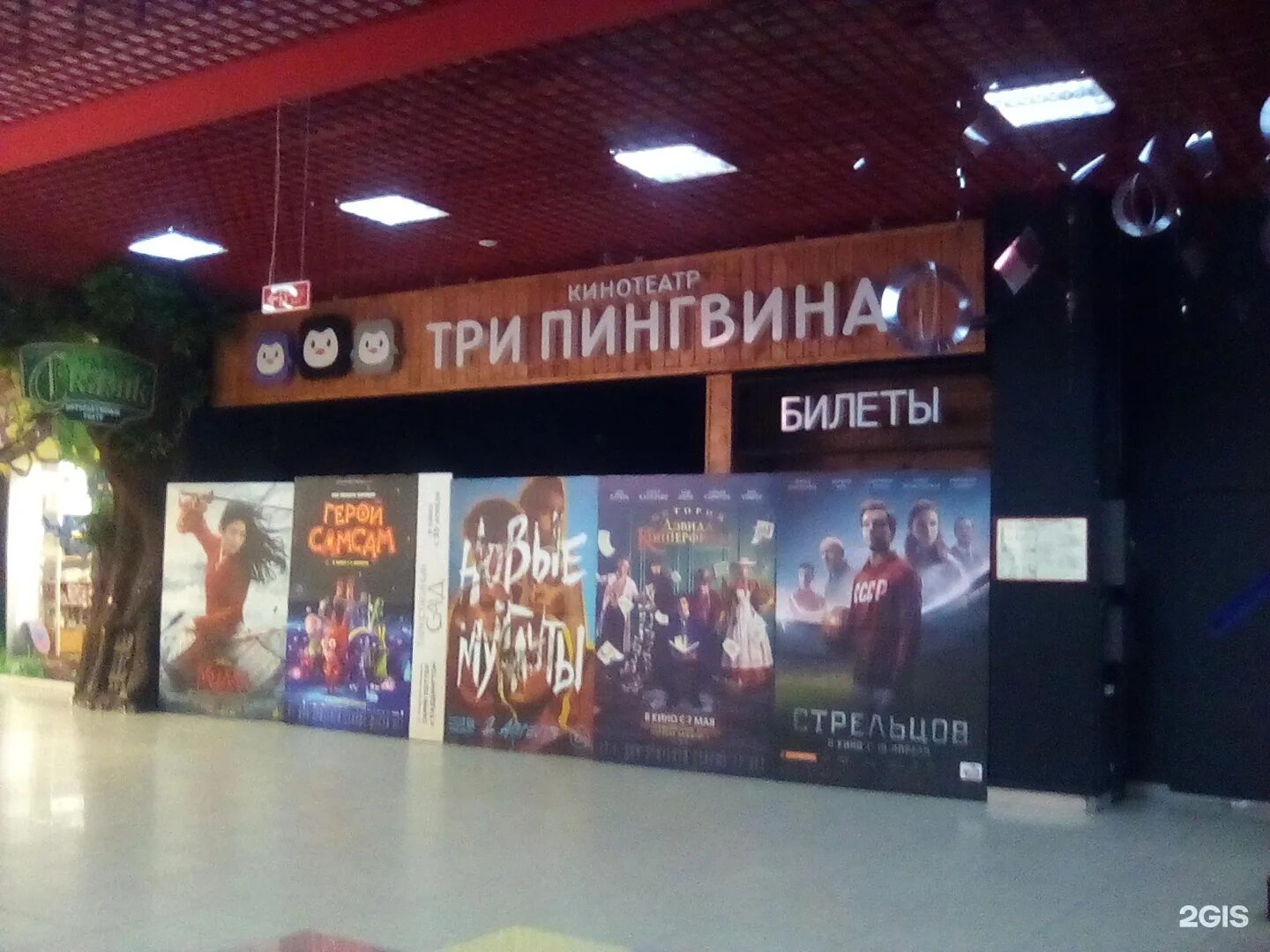 Кинотеатр три пингвина чебоксары. Мадагаскар чебоксары кинотеатр. Кинотеатр мадагаскар тольятти. Кинотеатр мадагаскар чебоксары. Три пингвина чебоксары вип зал.