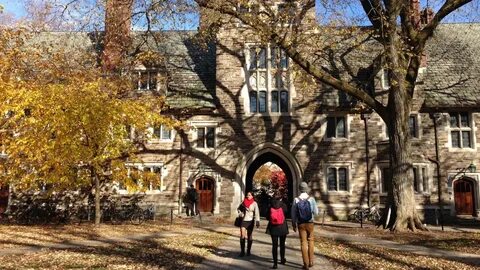 Princeton university