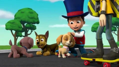 Paw patrol pups save