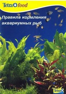 Тетра книга
