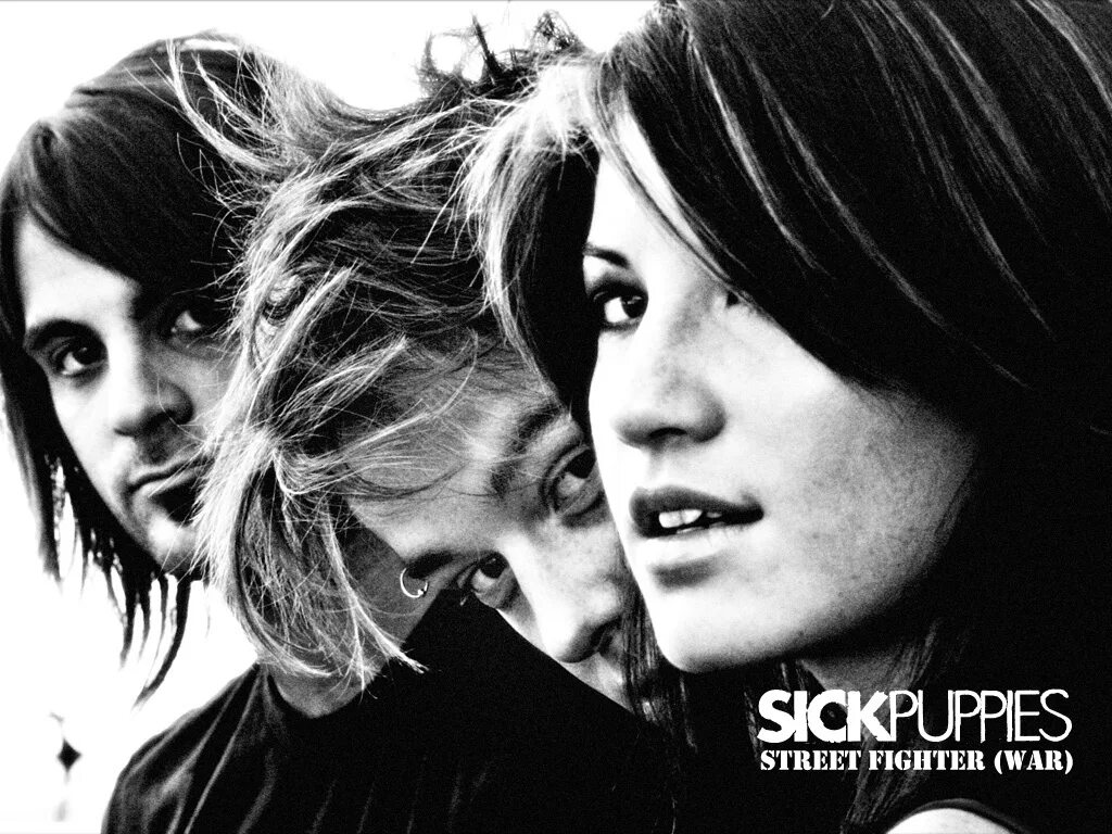 Sick down. Sick Puppies. In it for Life sick Puppies. Sick Puppies - all the same.