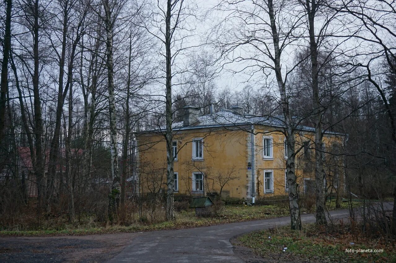 Мотель ольгино. Спб, приморское шоссе, 4, ольгино, мотель "ольгино". Спб, приморское шоссе, 4, ольгино, мотель "ольгино". Ольгино санкт петербург фото. Мотель ольгино санкт-петербург.