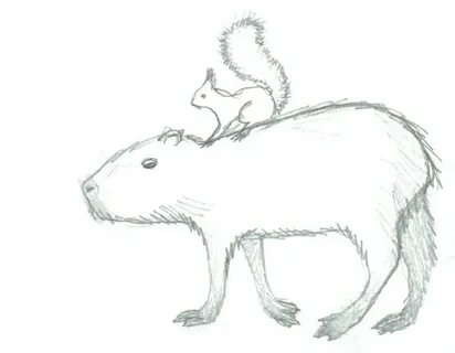 Как нарисовать капибару детям
