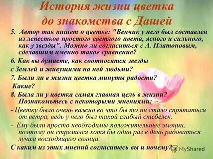 Цветы жизни рассказы