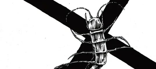 Pyrokinesis венец эволюции. Сколопендра перекинезис. гепатит спид сифилис пирокинезис. сколопендра pyrokinesis. пирокинезис сколопендра обложка.