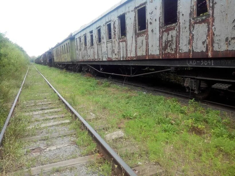 заброшенные товарные вагоны. локомотив тэ3 1957. забытые поезда. забыты поезда. заброшенный жд вокзал.