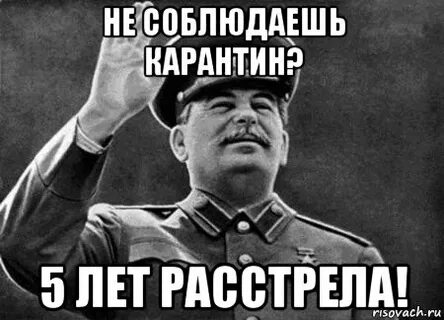 Сейчас расстрелять