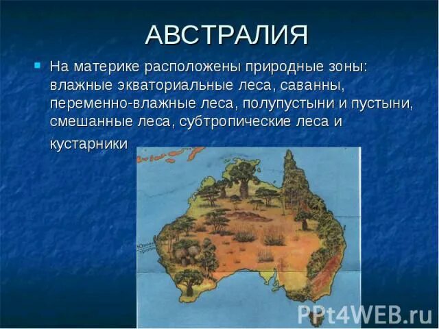 На каких материках планеты нет экваториальных лесов