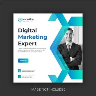 Vector expert