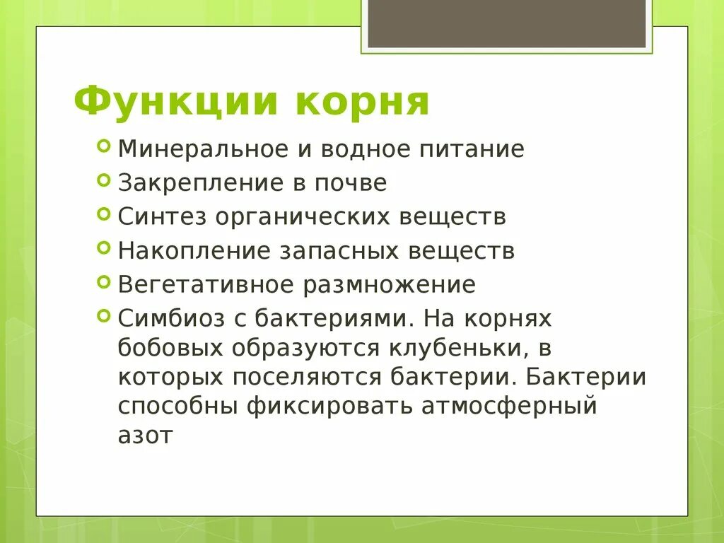 Основные функции корня. Функции корневой системы. Функции корня растений. Функции корня растений 6 класс биология.