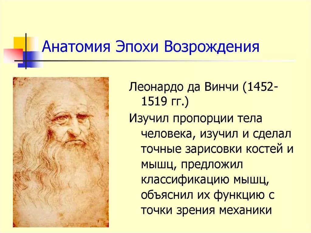 Деятельность эпохи возрождения. Леонардо да Винчи эпоха Возрождения. Человек эпохи Возрождения Леонардо да Винчи. Леонардо да Винчи эпоха Возрождения учёный. Леонардо да Винчи символ эпохи Возрождения.