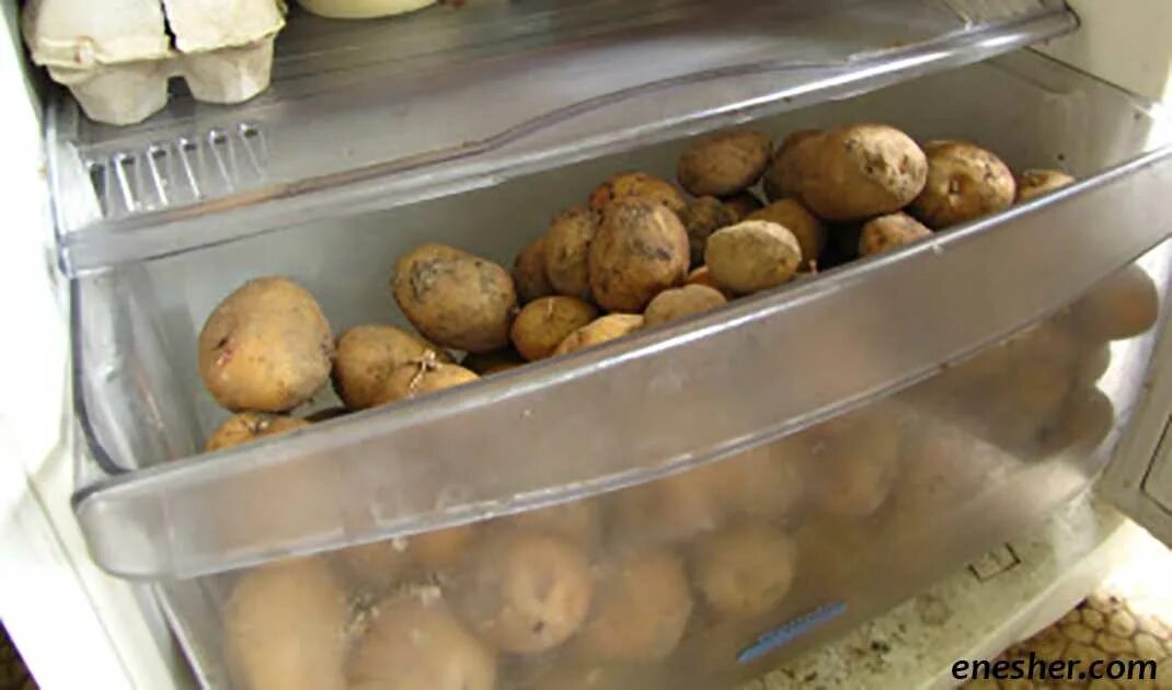 Можно хранить картофель в холодильнике. Холодильник для картофеля. Холодильник для хранения картошки. Картошку хранят в холодильнике. Хранение очищенного картофеля.