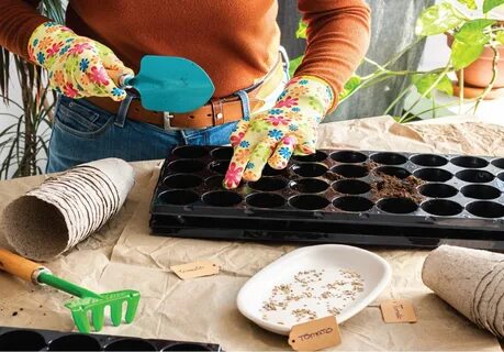 Жизнь - МК-Латвия