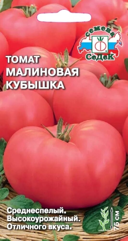 Сорт кубышка помидоры. Томат малиновая кубышка. Томат малиновая кубышка. Томат кубышка высота куста. Томат кубышка гигантская гавриш.