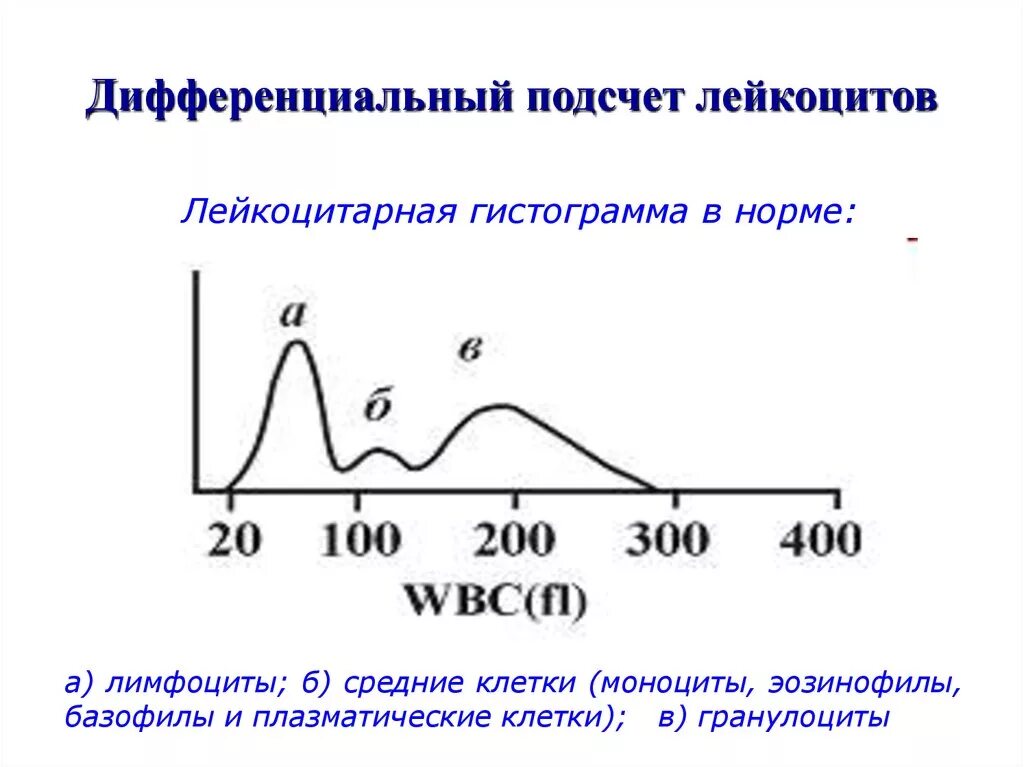Дифференцированная норма. Гистограмма распределения лейкоцитов. гистограмма лейкоцитов норма. дифференцированный подсчет лейкоцитов. гистограмма тромбоцитов в норме.