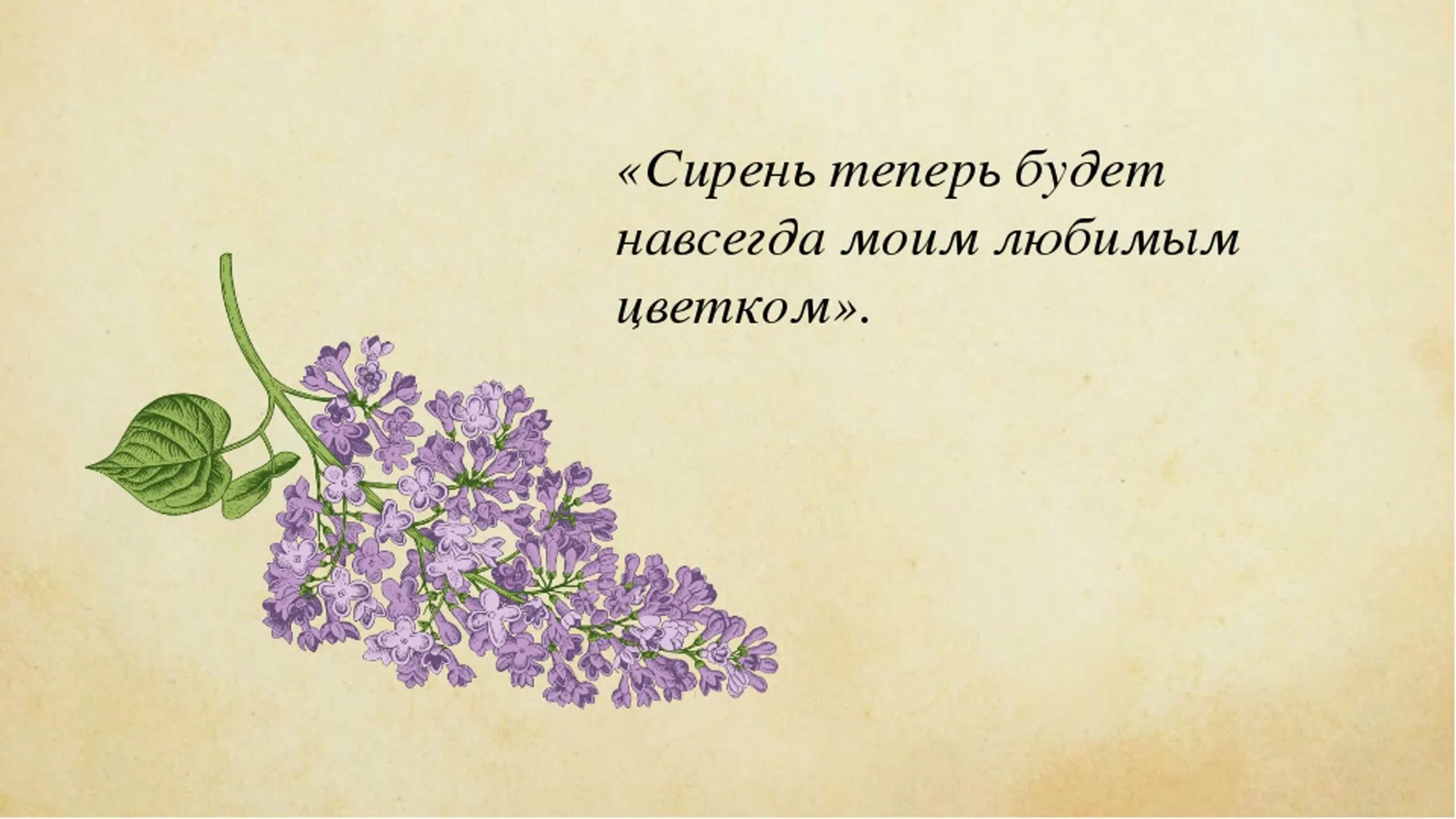 Сочинение алмазов едва дождался