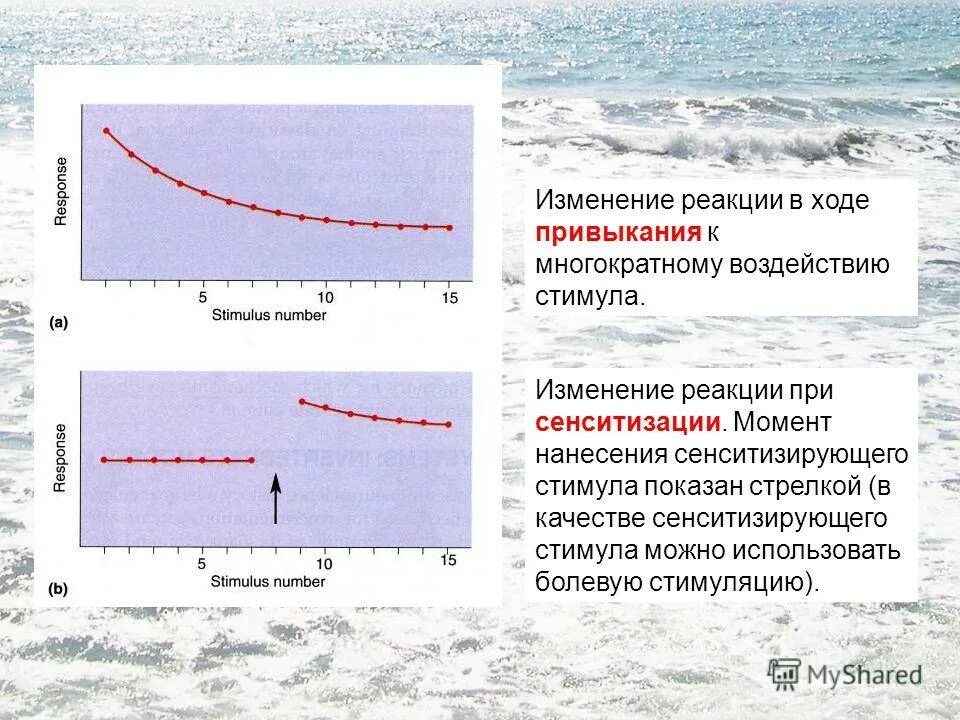 Реагировать на изменения происходящие на