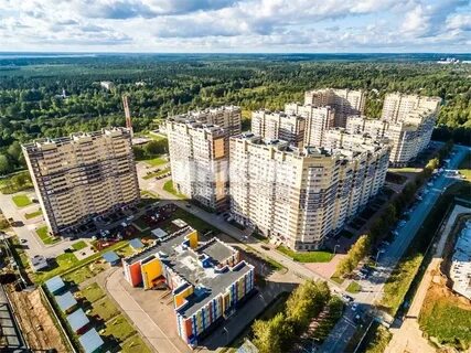 311 пушкино