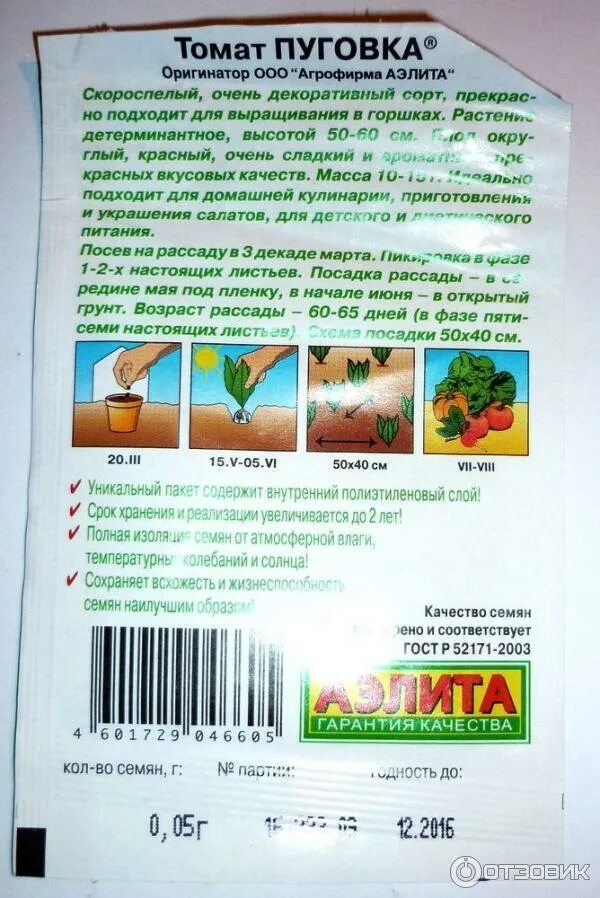 томат пуговка характеристика и отзывы. томат пуговка. томат пуговка характеристика и отзывы. томат пуговка характеристика и отзывы. томат пуговка характеристика и отзывы.
