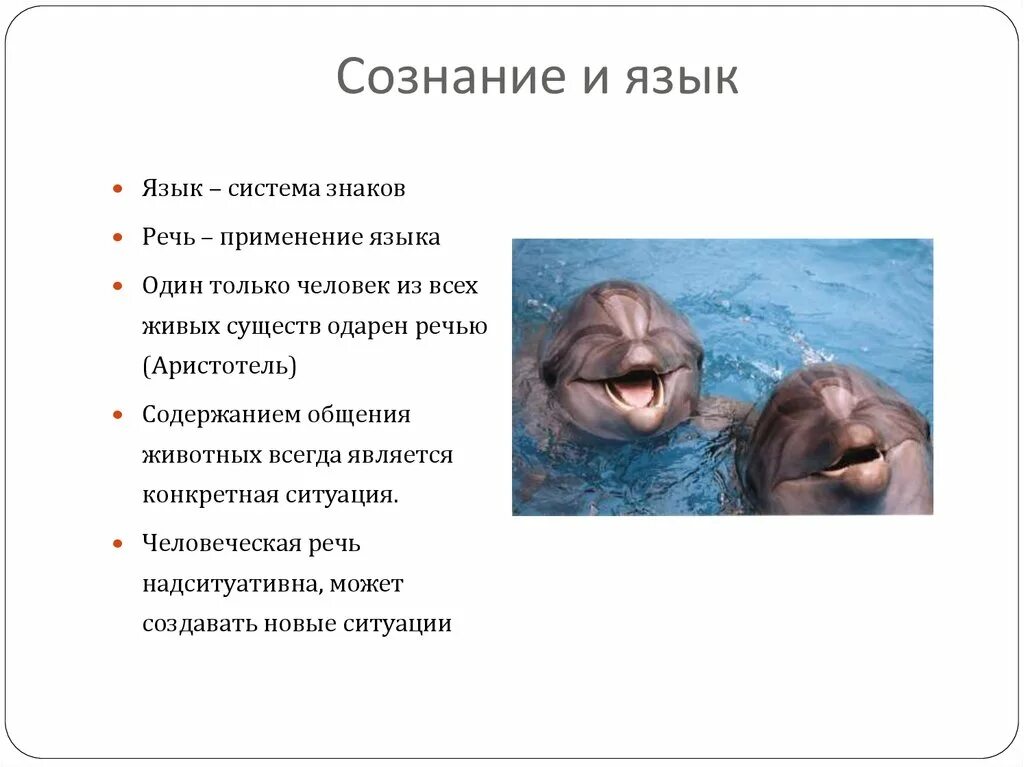 Язык мышление функции языка. Язык и сознание. речь и сознание. сознание и язык (речь) философия.
