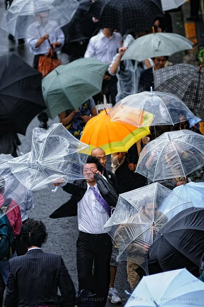 You take an umbrella today. Японский зонтик. Японские одноразовые зонтики. Пластиковые зонтики. Одноразовый зонт.