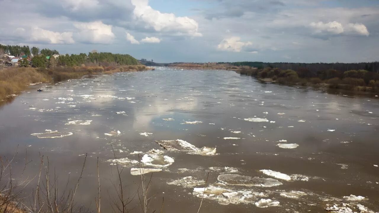 Уровень воды в ветлуге шарья на сегодня. Устье реки Ветлуга. Река Ветлуга Кировская область. Устье Волги и Ветлуги. Ледоход на реке Ветлуга.