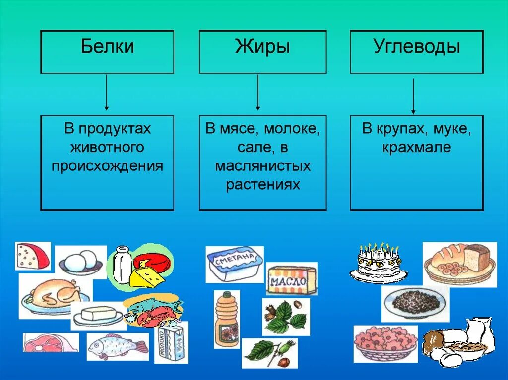 Схема происхождения какого либо продукта окружающий мир. Белки жиры углеводы. белки жиры углеводы в продуктах. питание белки жиры углеводы. продукты богатые углеводами жирами и белками.