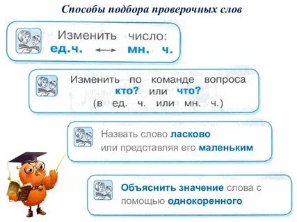 Проверочные слова 4 5 класс