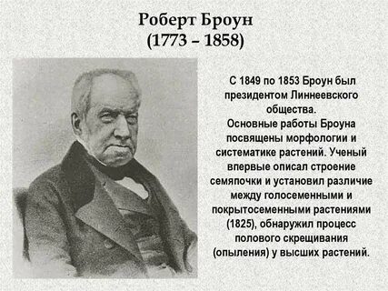 Р броун открытие
