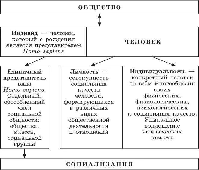 Индивид это егэ. Социальные качества личности схема Обществознание 10 класс Боголюбов. Социальные качества личности Обществознание 10 класс. Социальные качества личности схема Обществознание. Схема социальные качества личности 10 класс Боголюбов.