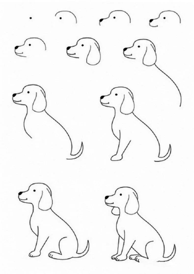 Собака рисунок. Картинки собаки для срисовк. Поэтапное рисование собаки. Лёгкие картинки для рисования.