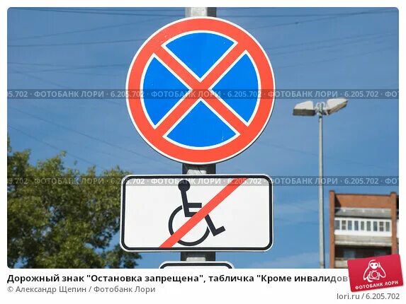 Как выглядит знак остановка запрещена кроме инвалидов Как выглядит знак остановка запрещена кроме инвалидов
