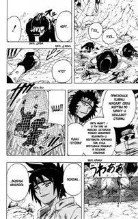 Тигры стаями ходят подобного размера 