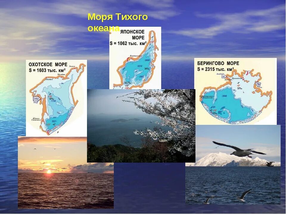 Моря тихого океана территории россии. Моря Тихого океана. Моря Тихого океана России. Моря Тихого океана моря Тихого океана. Перечислите моря Тихого океана.