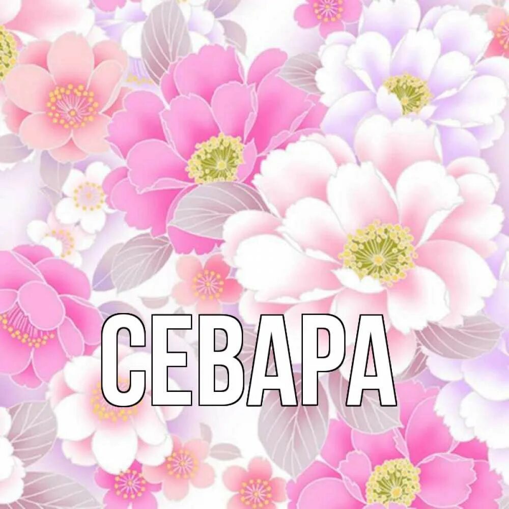 Открытки наташе с цветами. Цветы для Наташи. Красивые цветы для Наташи. Открытки с именем Наташа. Цветы по именам.