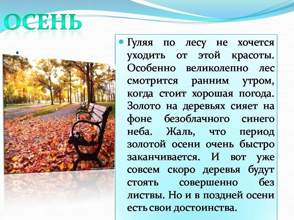 Текст прогулка по майскому лесу дарит много. Прогулка осенью с названием ноябрь. что делать осенью когда гуляешь. текст прогулка по лесу нач. школа.