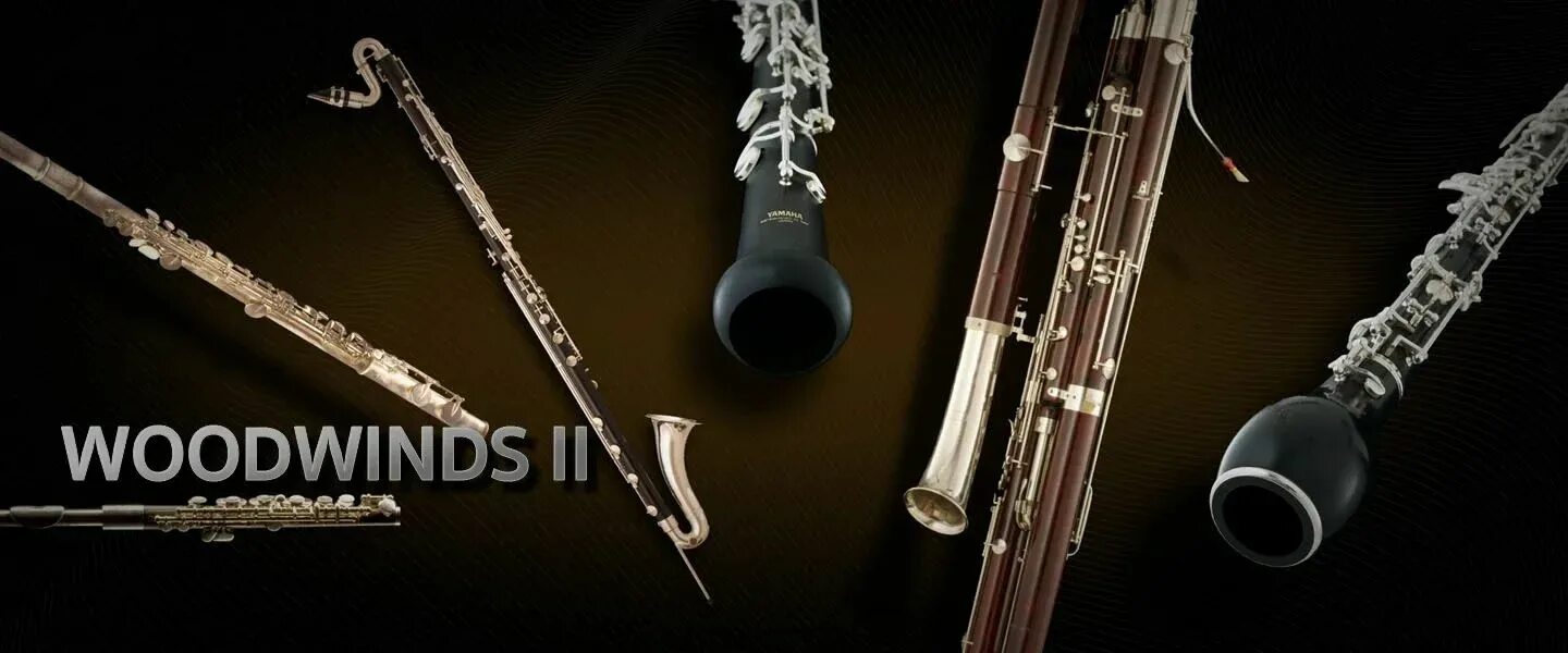 Гобой труба кларнет. Гобой кларнет Фагот. Флейта гобой кларнет Фагот. Woodwind and Brass instruments разница. Деревянные духовые музыкальные инструменты.